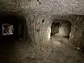 Tall tunnel of Dente Italiano