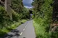 Saanich Area