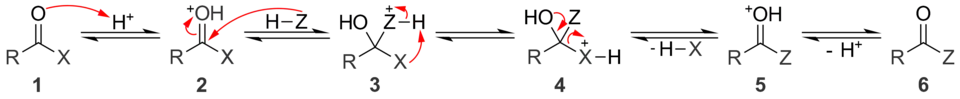A general mechanism for acid catalyzed nucleophilic acyl substitution