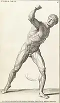 Borghese Gladiator