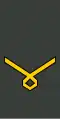 უფროსი სერჟანტი Uprosi serzhant'i (Georgian Land Forces)[20]