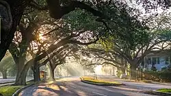 City Park
