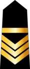 Adjudant (Arabic: وكيل, romanized:&nbsp;Wakil) (Tunisian Army)[25]