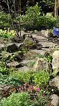 Rockery, April 2012