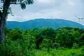 Mountainous view in the park