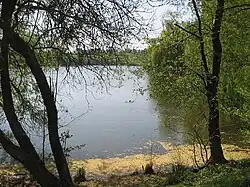 Grimnitzsee