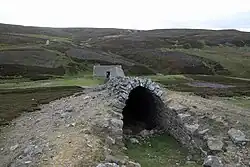 Grinton Moor Flue