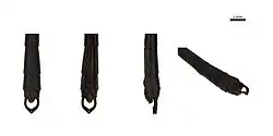 Tip of male tail