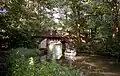 Basingstoke Canal
