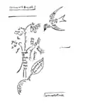 L'oiseau et le bouquet