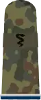 Sanitätssoldat SanOA (Army MOA mounting loop, field uniform, studying veterinary medicine)