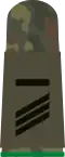 Hauptgefreiter UA (Heer, mountain infantry, field uniform)