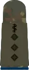 Stabsarzt (hum. medicine)