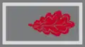 Grupo C1
