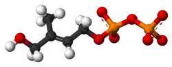 Ball-and-stick model, shown here as a 3- ion