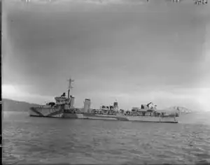 HMS Wolsey (L02)