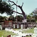 Hangman's Tree in Dodge City, Kansas.