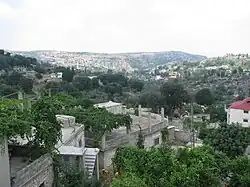 Beit Yashout