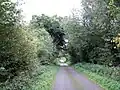 Heading south east, Timworth Carr (2015)