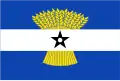 Flag of Heinenoord