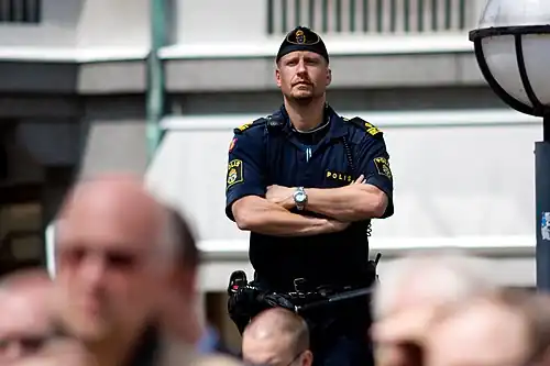 Police Inspector, 2010