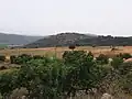 Khirbet Abu esh-Sheba (Bersabe) seen from northern side