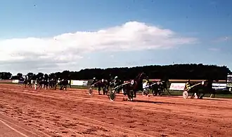 The racecourse