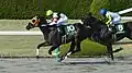 Antares Stakes