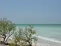 Another view of the Gulf