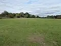 Hooks Well Meadows, Great Cressingham