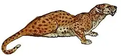 Hoplophoneus primaevus