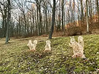 Rabbits