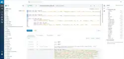 Interface and the SQL Editor