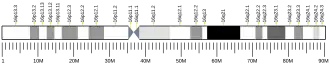 Chromosome 16 (human)