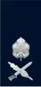 Aluf