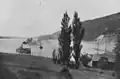 Passenger steamer on Bras d'Or Lake near New Campbellton, ca 1903.