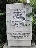 Idzikowskiego