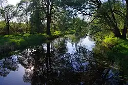 Ilmatsalu river