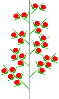 Compound spike