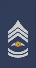 Sáirsint eitleoige (Irish Air Corps)[15]
