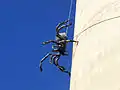 Sculpture 'Itsy Bitsy' by local artist Andrew Whitehead on the water tower.