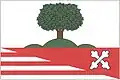 Flag of Jílové u Držkova