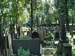 View in summer