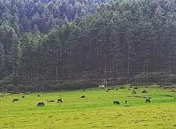 Jiri, Nepal 2019