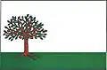 Flag of Jabloňov