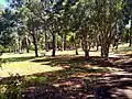 Picnic zone at Jack Ferguson Reserve