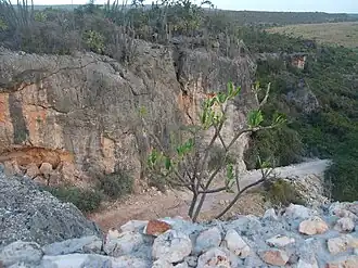Semi-arid climate in Pedernales, Hispaniolan dry forests, Dominican Republic and Haiti