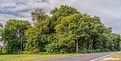 Park