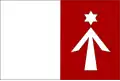Flag of Javorník