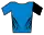 Blue zebra jersey